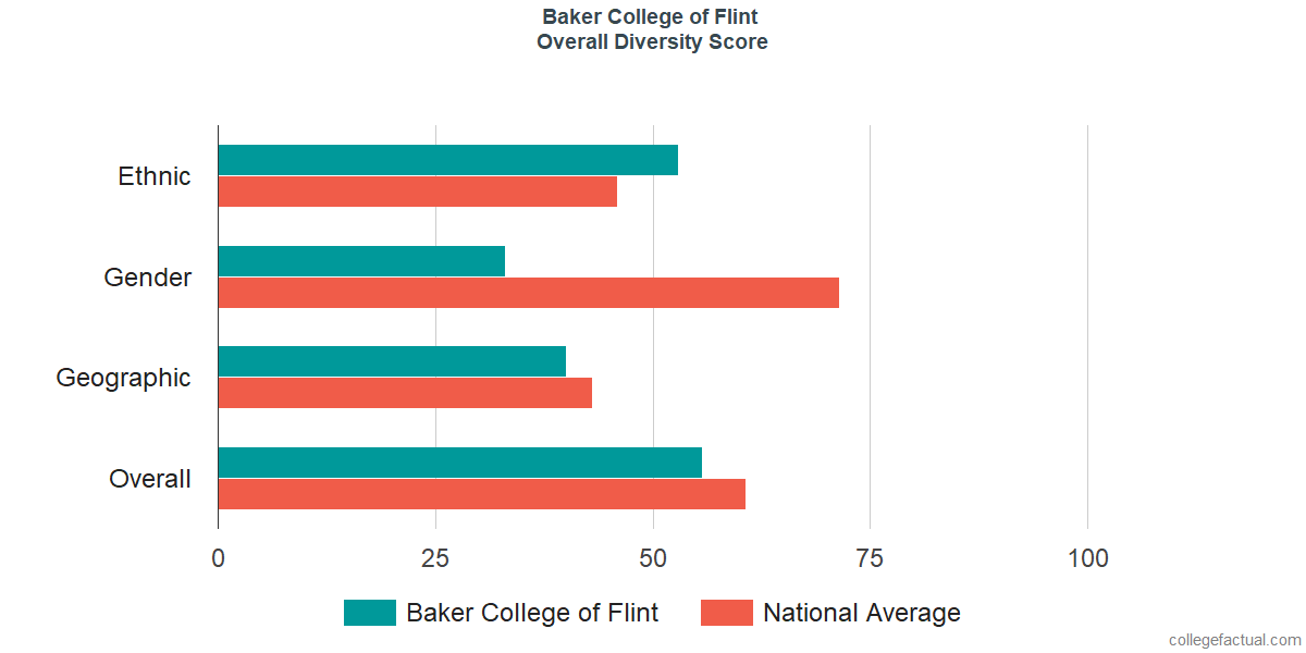 Overall Diversity at Baker College