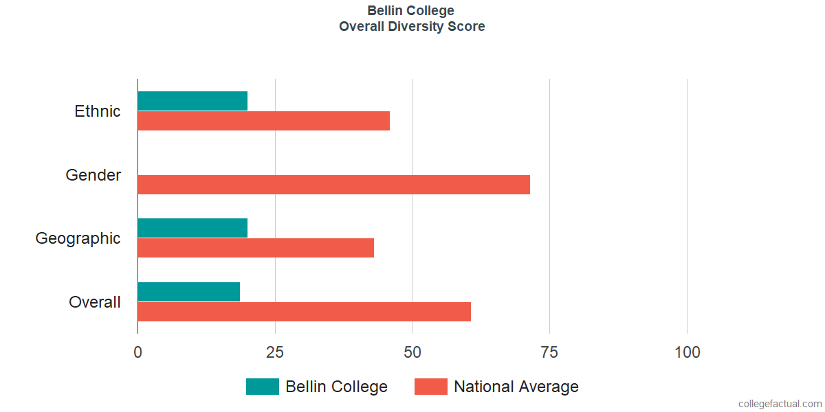 Overall Diversity at Bellin College