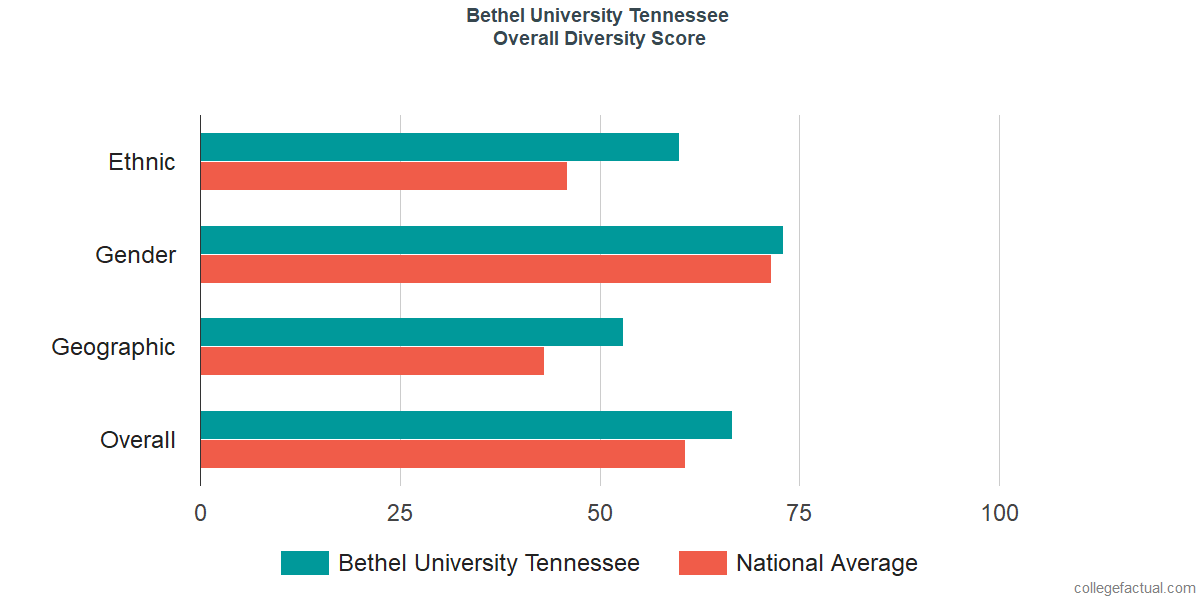 Overall Diversity at Bethel University