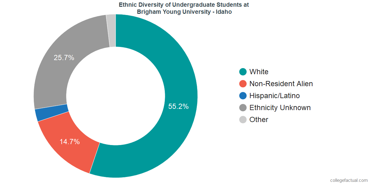 brigham young university idaho diversity racial byu scholarship chart
