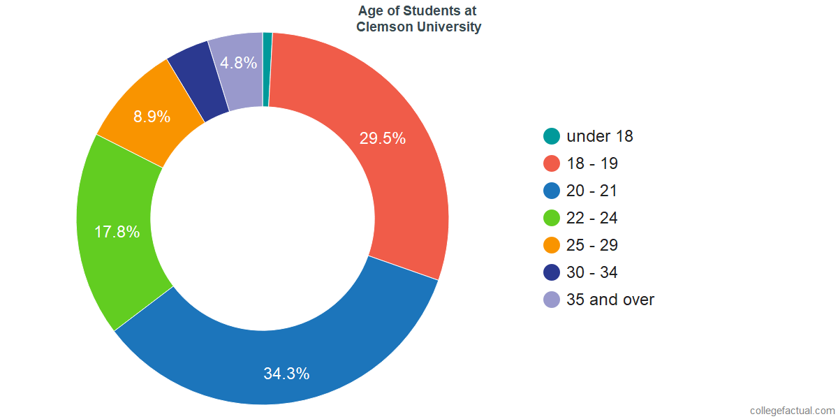 Clemson Ethnic Diversity Pie Chart