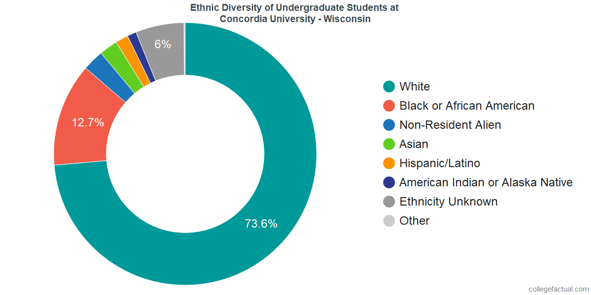 Diversity united states essay
