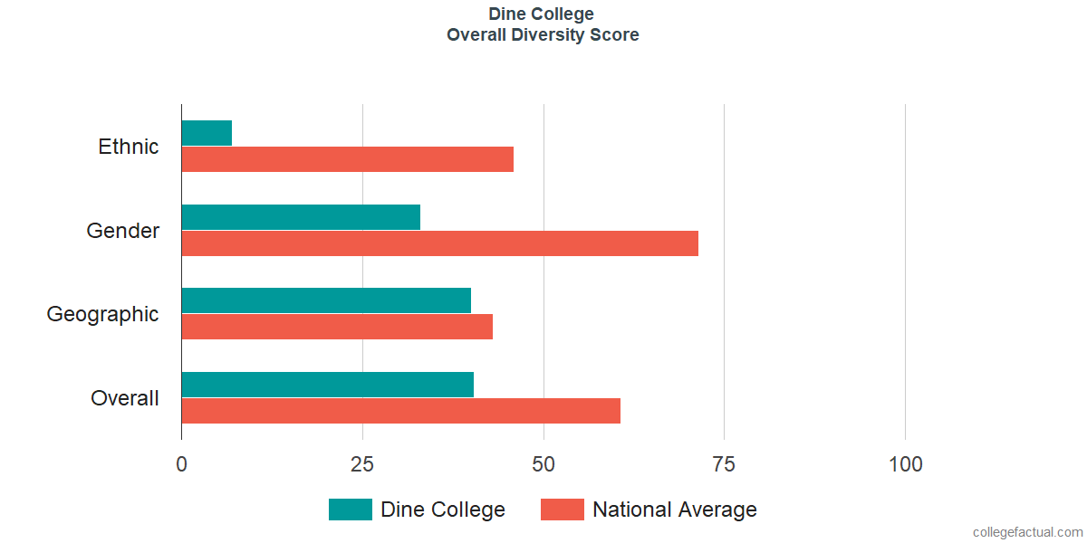 Overall Diversity at Dine College