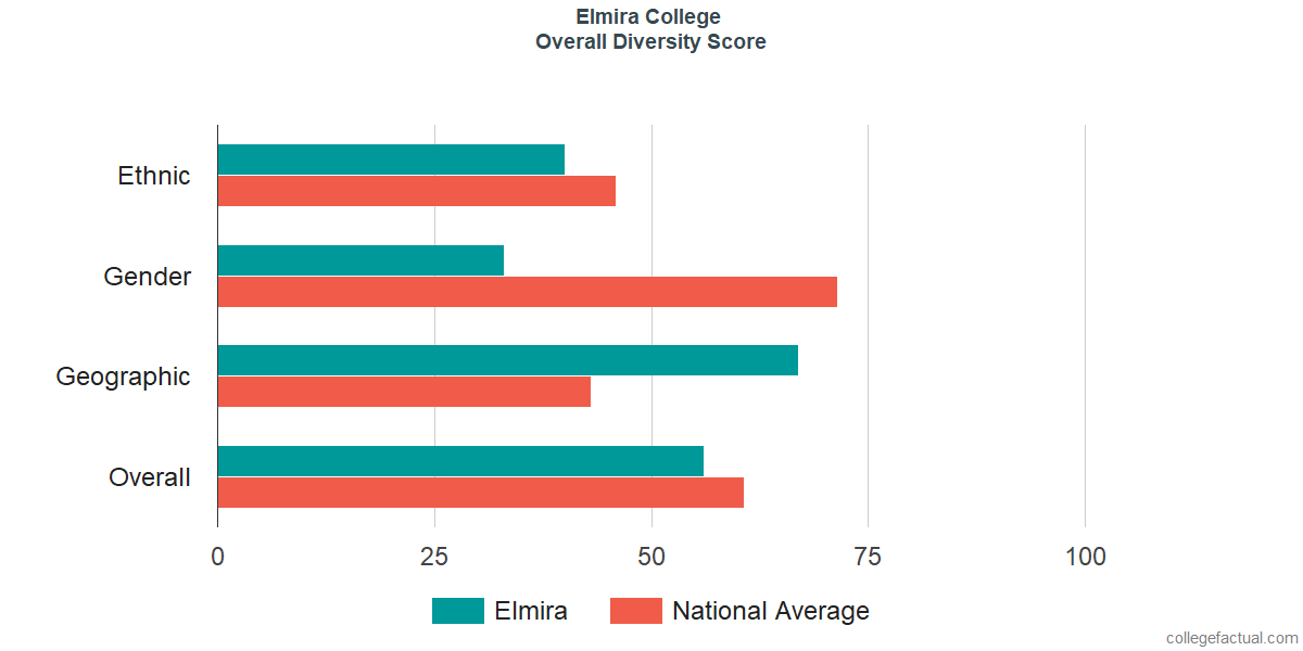 Overall Diversity at Elmira College