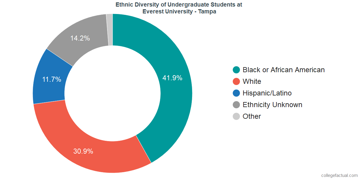 Altierus Career College - Tampa Diversity: Racial Demographics & Other ...