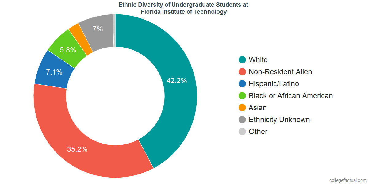 Florida Institute Of Technology Diversity Racial Demographics Other Stats