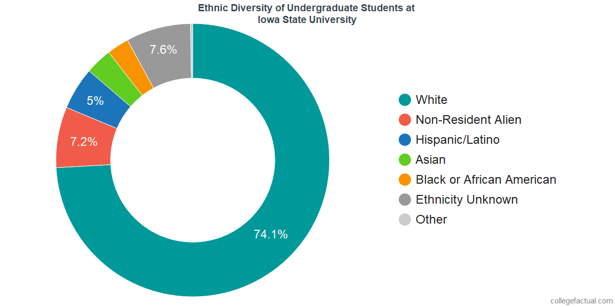 Iowa State University Diversity Racial Demographics Other Stats