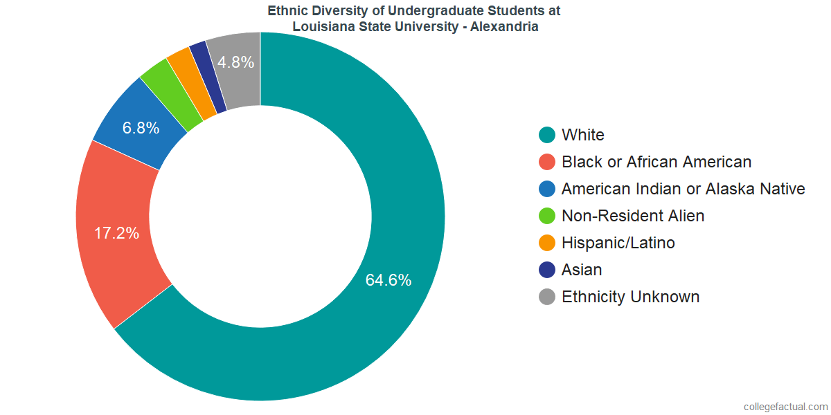 Lsu Ethnic Diversity Pie Chart