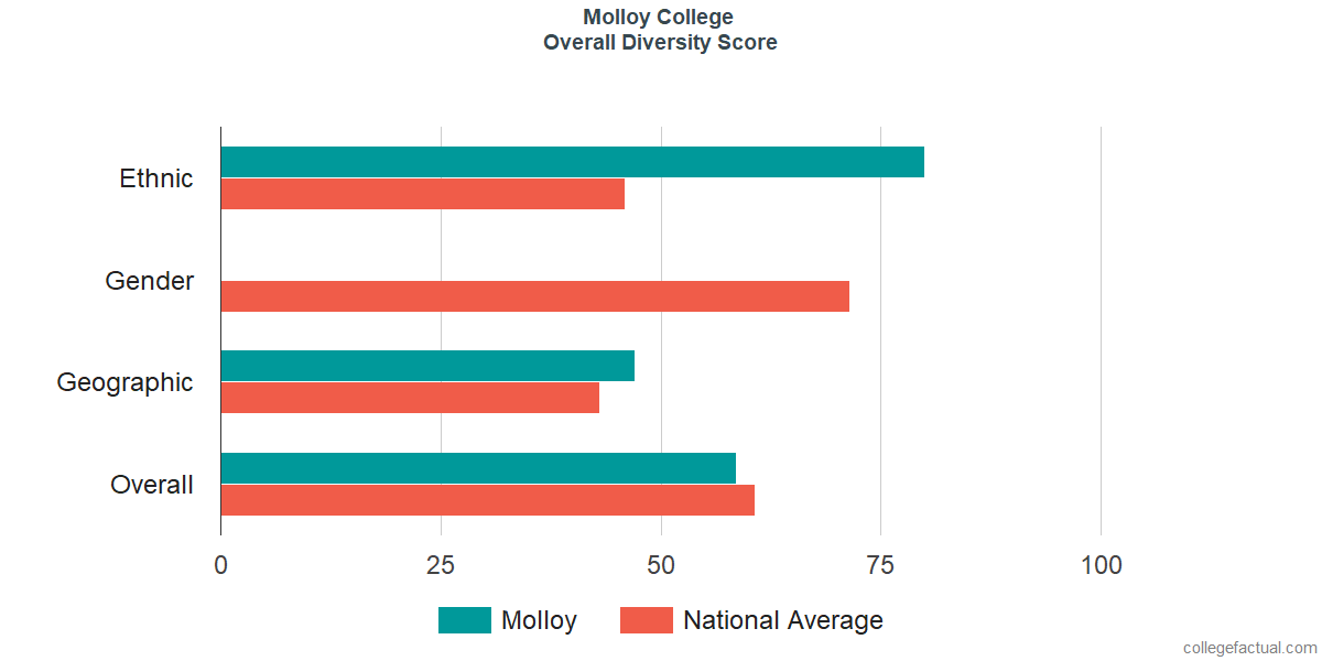 Overall Diversity at Molloy College