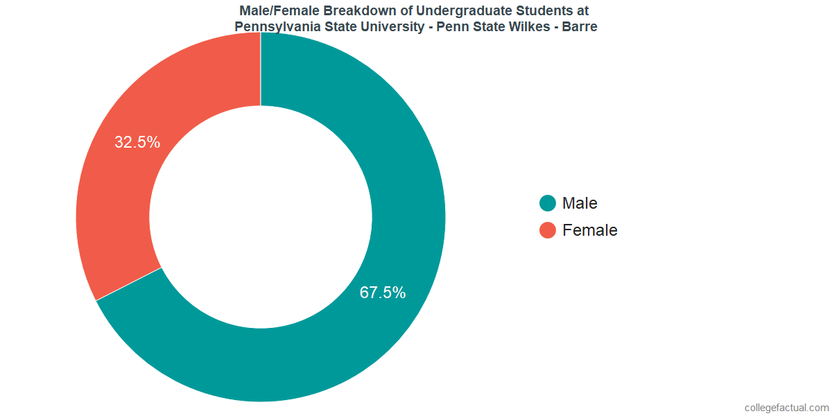 Pennsylvania State University Wilkes Barre Diversity Racial
