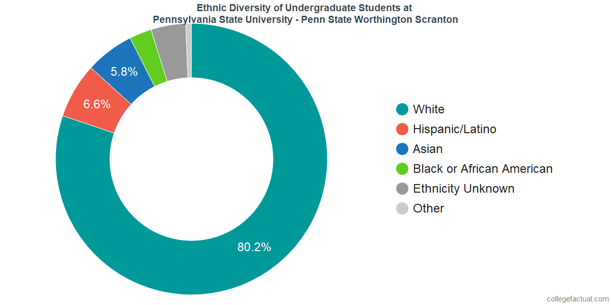 Pennsylvania State University Worthington Scranton Diversity Racial