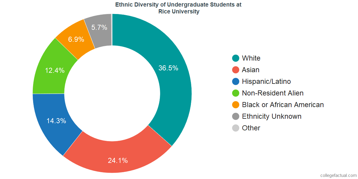 rice university diversity essay examples