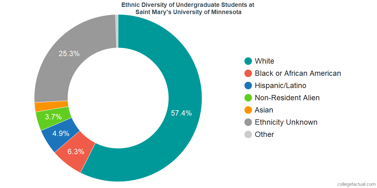 Saint Mary's University of Minnesota Diversity Racial Demographics