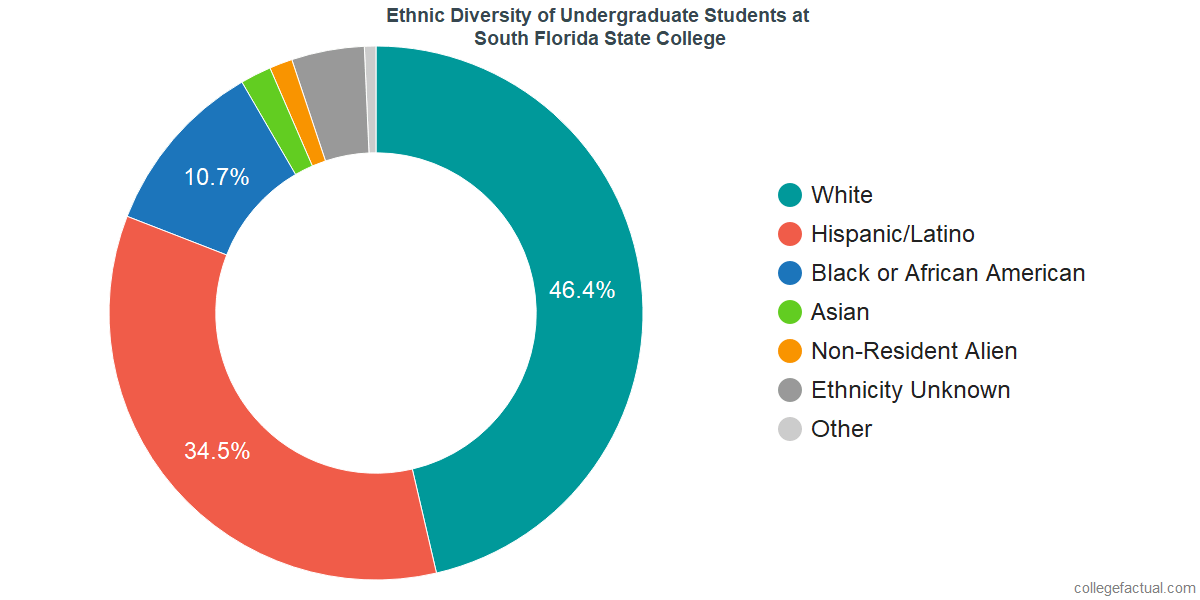 Colleges In South Florida >> South Florida State College Diversity Racial Demographics Colleges In South Florida >> South Florida State College Diversity Racial Demographics