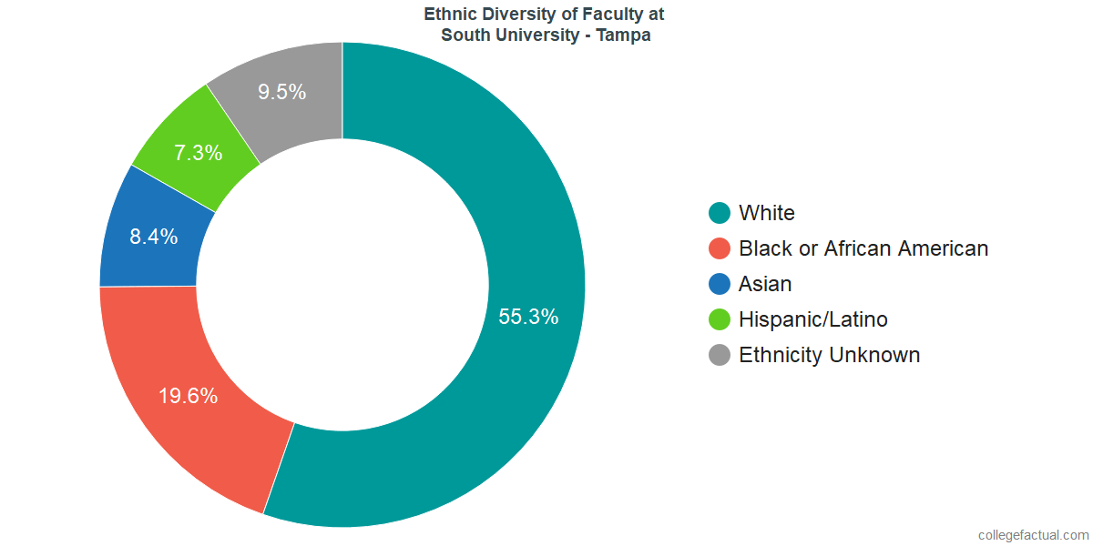 South University, Tampa Diversity Racial Demographics & Other Stats