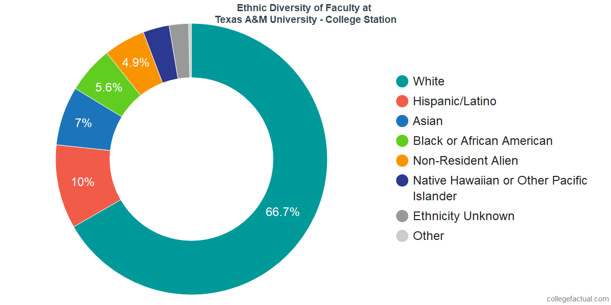 Ethnicity Chart