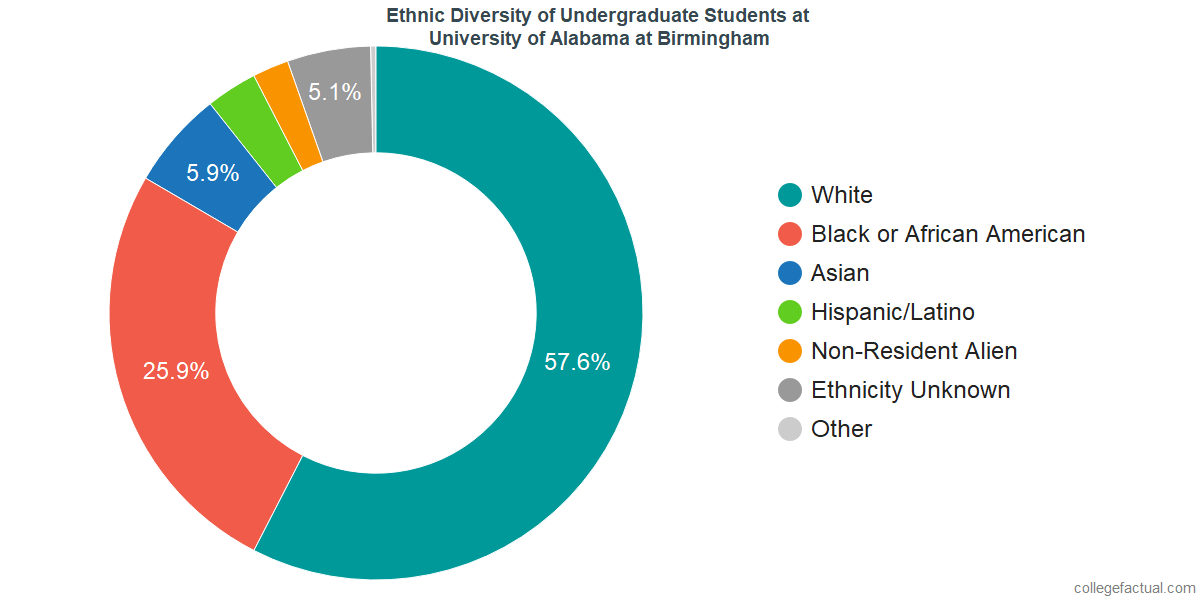 University of Alabama at Birmingham Diversity Racial Demographics