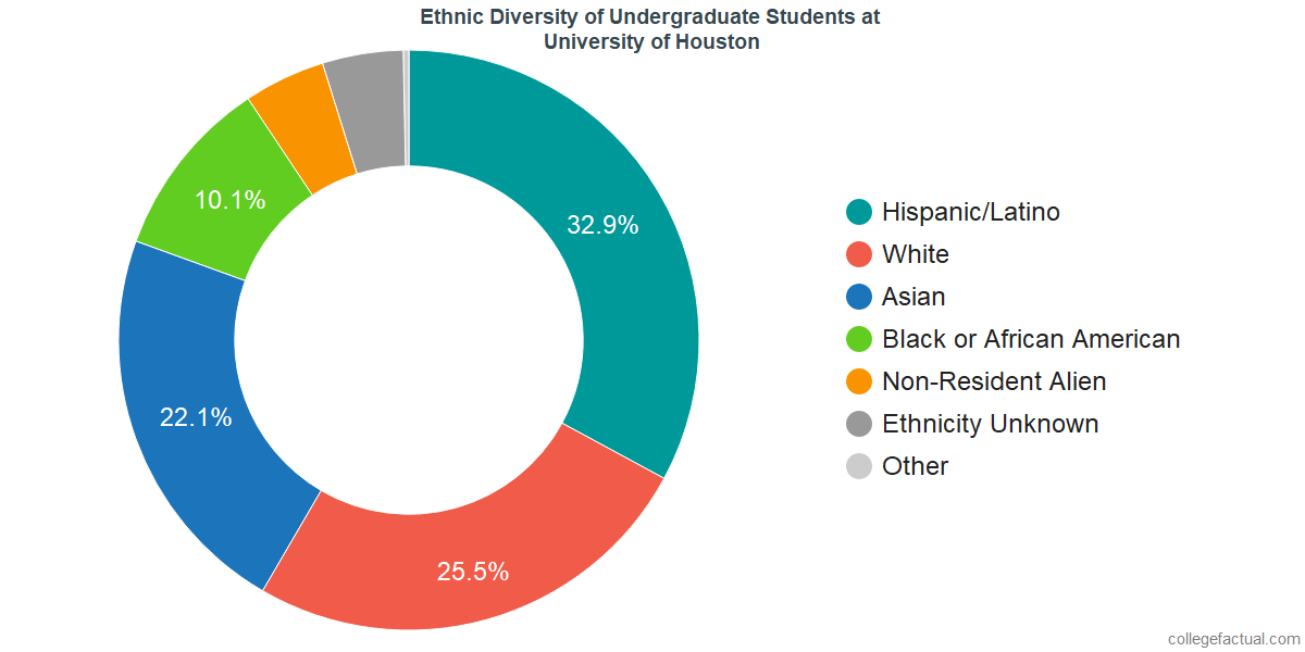 ethnic diversity in houston texas