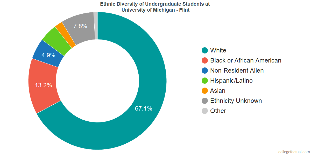 University of Michigan - Flint Diversity: Racial Demographics & Other Stats