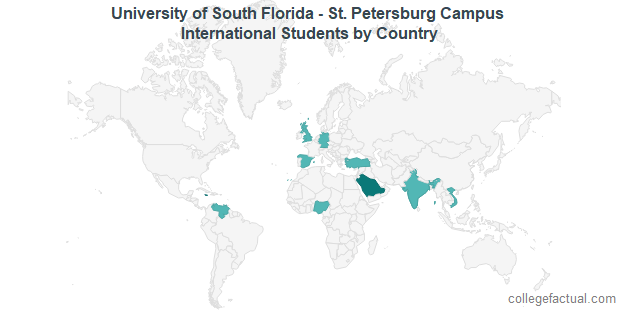University of South Florida - St. Petersburg International Students