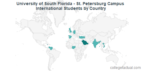 University of South Florida - St. Petersburg International Students