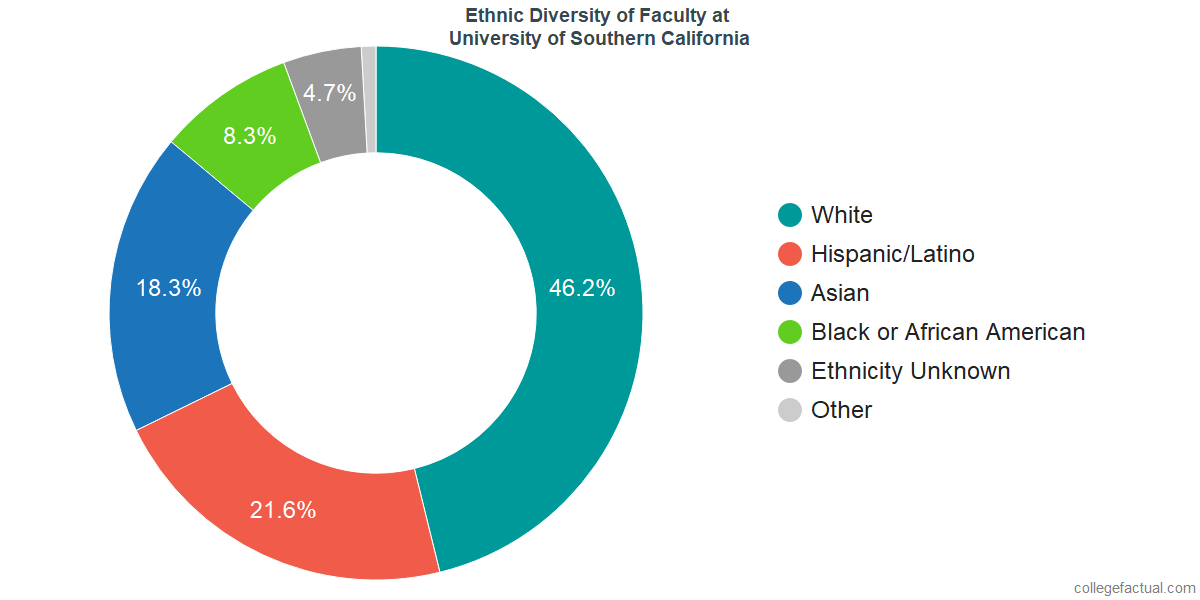 usc diversity essay