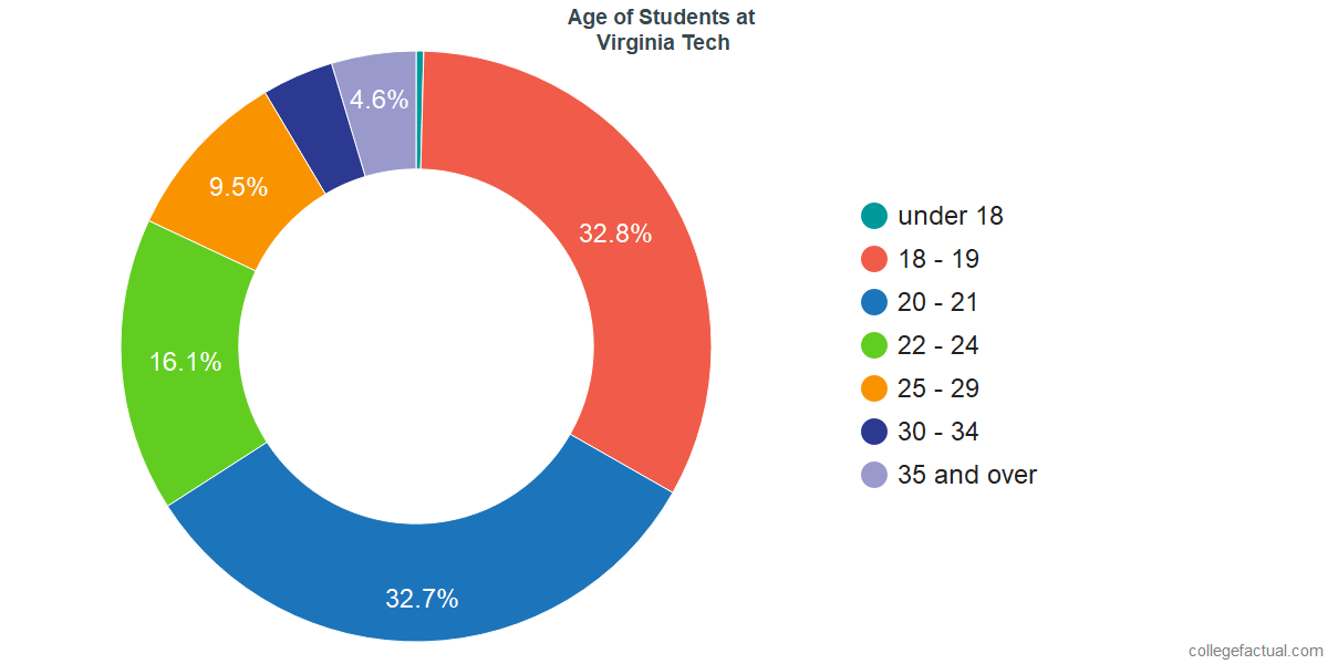 Virginia Tech Diversity Racial Demographics Other Stats