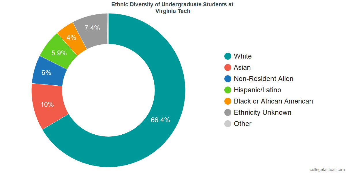 Clemson Ethnic Diversity Pie Chart