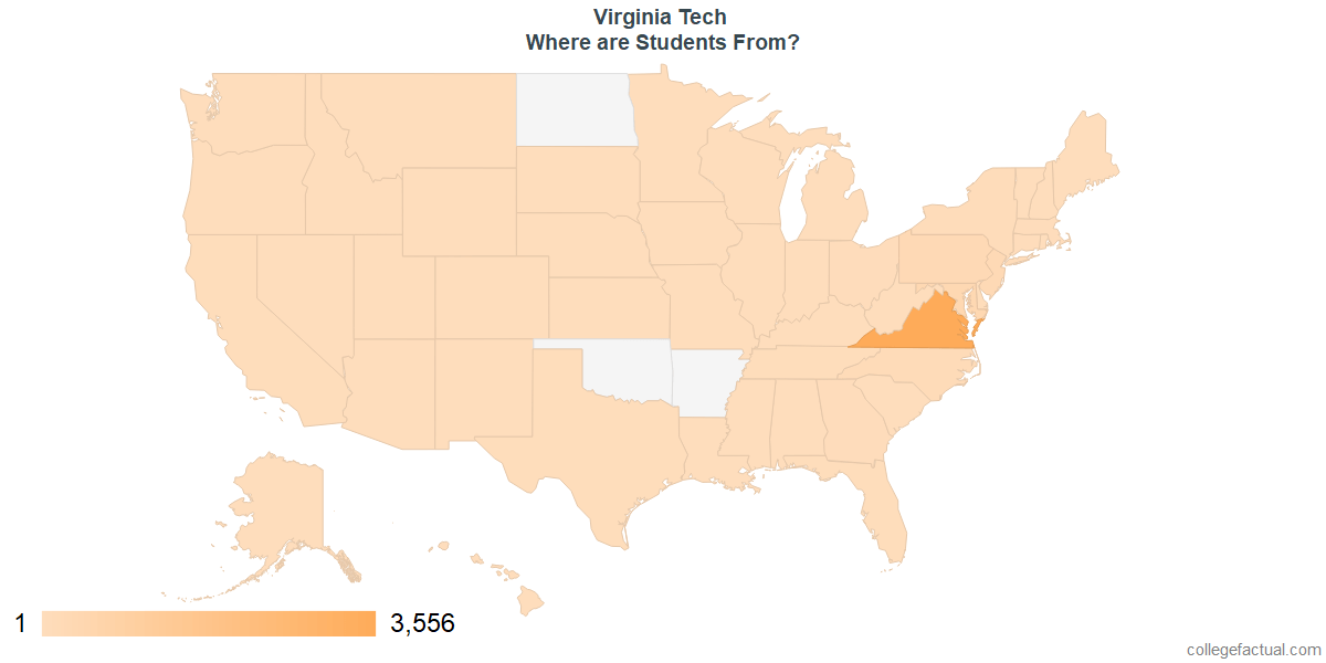 Virginia Tech Diversity: Racial Demographics & Other Stats