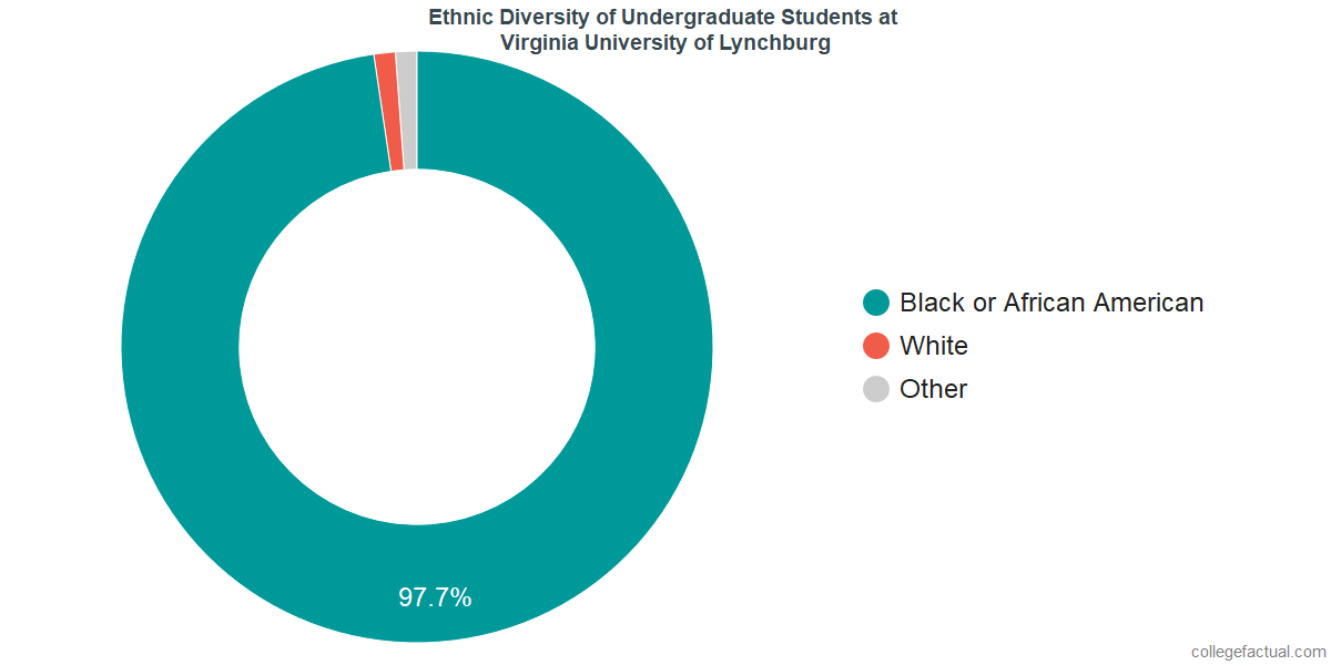 Virginia University of Lynchburg Diversity Racial Demographics & Other